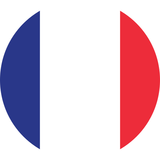 FRANCE REG flag